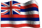 Hawaii  State Flag