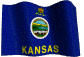 Kansas  State Flag