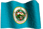 Minnesota  State Flag