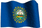 New Hampshire  State Flag