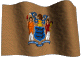 New Jersey  State Flag