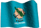 Oklahoma  State Flag