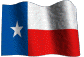 Texas  State Flag